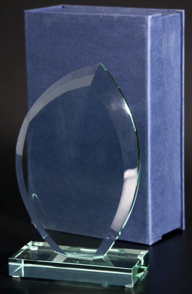 Награда стеклянная (сувенир) G010/FP 210х130х18 в комплекте коробка