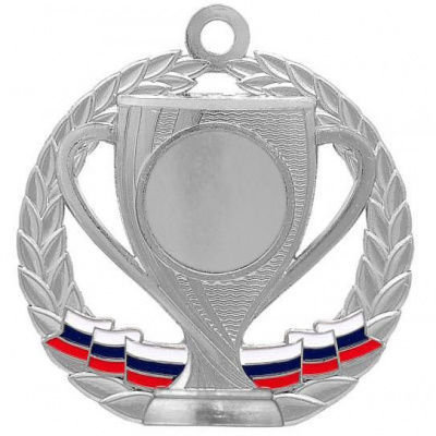Медаль MZ 33-70/S (D-70 мм, D-25 мм, s-2,5 мм)