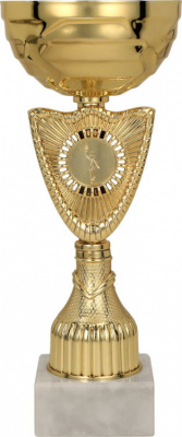 Кубок 8319C (23,5см) D-100