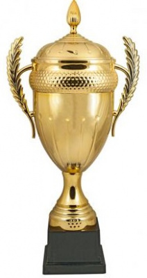 Кубок HB 8021 A (H-73 см, D-220 мм)