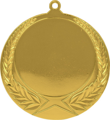 Медаль MMC1170/G 70(50) G-2.5мм