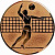 Эмблема D1-A6/В волейбол (D-25 мм)