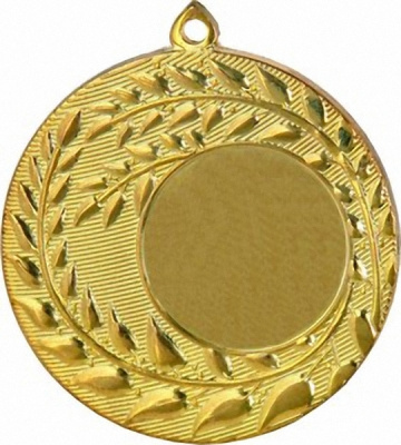 Медаль MMC1850/G 50(25) G-2мм