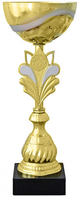 Кубок KB 8387 C (H-28 см, D-100 мм)