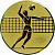Эмблема D1-A6/G волейбол (D-25 мм)