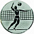 Эмблема D1-A6/S волейбол (D-25 мм)